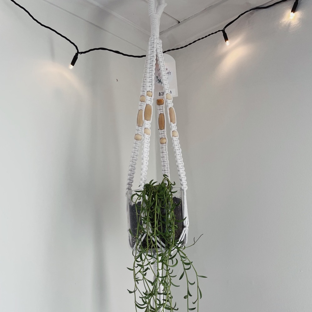 White plant hanger